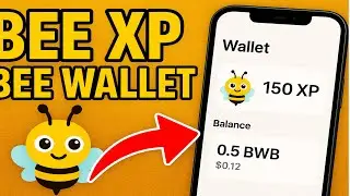 Зарабатывайте баллы Bee XP | Руководство по подключению Bee Wallet