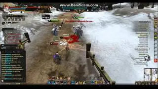 Dragon's Prophet PVP- fearless lvl 41 guard (my idol)