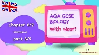 AQA GCSE Biology for the UK - Chapter 6/7 Genetics: Inheritance - Part 3/5