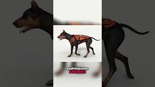 Dogs Predict Earthquakes: Amazing Canine Earthquake Detection