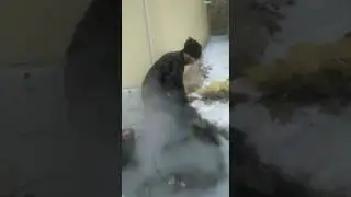 Donmus su acımı