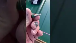 #colors #roofing #installation #viral #2025 #youtube #shortvideo #facts #beautiful #strong #trending