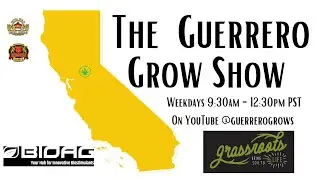What&rsquo;s new in cannabis in 2025? James Bean-Seeds Here Now!! (Episode 757)