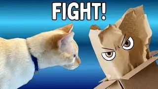 Cat vs. the Box Monster (Wait for the Plot Twist!)