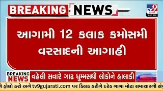 આગામી 12 કલાક કમોસમી વરસાદની આગાહી, વેસ્ટર્ન ડિસ્ટર્બન્સને લીધે વરસશે કમોસમી વરસાદ, જુઓ Video