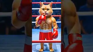 #cat #video #boxing #sports #hiphop #rap #oldschool