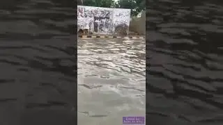 Karachi rain August 2020