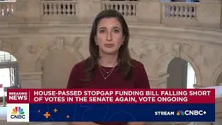 Senate fails to reopen government following latest stopgap funding bill vote