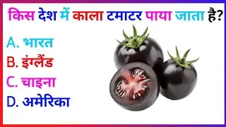 10 महत्वपूर्ण सवाल || ias Level question 🤔🤔🤯|| GK Question || gk in hindi