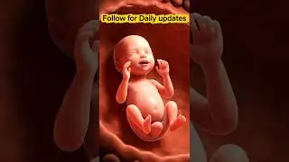 Maa k peit me 43 din ka Bacha #aivideo #pregnancytips #embryo #viral