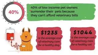2022 Goals for a Better Pet Future with PAWS Charity