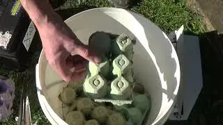 Moth Trapping - Opening our trap in March in South East Wales, UK