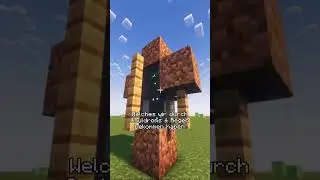 Wusstet ihr das Ende? #minecraft #shorts #platinumdot
