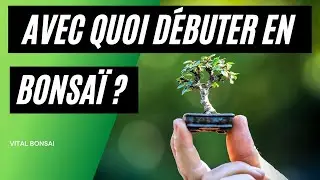 QUEL ARBRE choisir ? pour FAIRE un BONSA&Iuml;