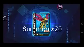 The Warrior Evolution: Fight | Summon x20