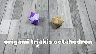 origami triakis octahedron