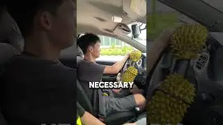 Unique way to learn how to drive