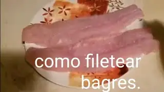 Como filetear un bagre.