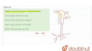 Rate of transpiration is highest when  | 12 | TRANSPORT IN PLANTS | BIOLOGY | DINESH PUBLICATION...