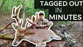 HANG & HUNT - BUCK TAG FILLED IN MINUTES! (Velvet Buck)