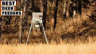 Best Deer Feeders in 2025 (Top 10 Picks)