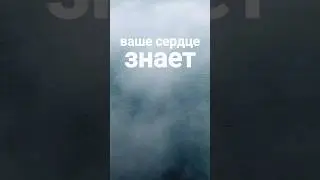 ✨ Ваше сердце знает практически все&hellip; #imrammusic