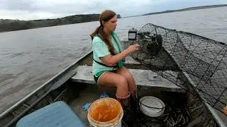 Women Catch Catfish Too!!! Net Fishing for Catfish