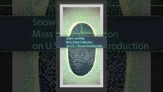 4. Mass Data Collection on U.S. Citizens Discussion