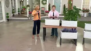 NuVue Set of 2 Modular Self- Watering Planters on QVC