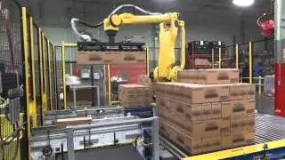 End-of-Line Case Packing & Palletizing System | Remtec Automation