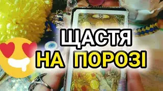 🕊️❤️ЯКЕ ЩАСТЯ ЛЕТИТЬ ДО ТЕБЕ⁉️🕊️