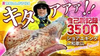 【エギング】たまちゃんが行く24 自己記録更新キタァァァー！