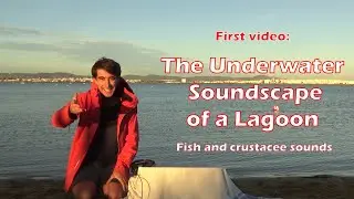 Underwater soundscape recording during sunset at the Ria Formosa, Portugal, 23/11/2025