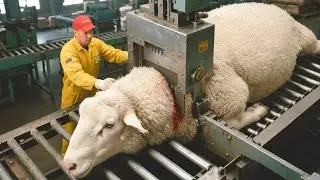 Inside a Modern Sheep Wool Factory (2025) | From Raw Fleece to Ultra-Luxury Products