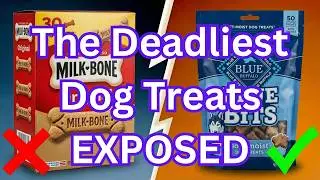 9 Dog Treats To AVOID (And The 2 That Are Worth It)
