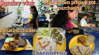 Sunday full day vlog || tamarind chicken ||coconut rice || mini garden prepare pot purchasing ||.