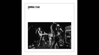 Animal Flag - Sensation