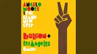Los Angeles - Use of Force Remix