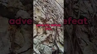 Rise Above Adversity A Motivational Journey #motivational video