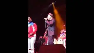 Que le pongan salsa 🔥 - El Gran Combo de Puerto Rico ( Canta Rub&eacute;n Blades ) 🎙 #salsa