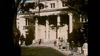 cardnl - in dreams