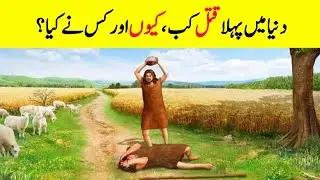 Who Committed The First Murder On The Earth? || Complete Urdu  Story of Qabil & Habil&nbsp;|| Cain & Abel