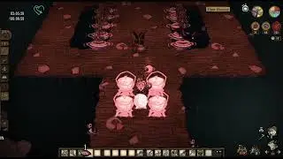 Best Food Farm (Fish) Don't Starve Together
