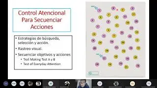 Control Cognitivo