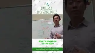 Pulse diagnosis is the gold standard in diagnostics (Part 1)