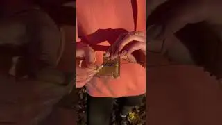 Wilderness First Aid: Improvising a Wound Dressing