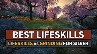 Best Lifeskills That Compete With Grinding For Silver in Black Desert