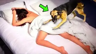 Vajza flinte me qenin e saj &ccedil;do nat&euml;  Muaj m&euml; von&euml;, ajo zbuloi di&ccedil;ka t&euml; tmerrshme!