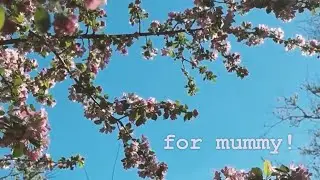 for mummy! | the feeling of falling | VISUAL ALBUM