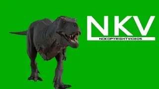 T-Rex Dinosaurs | Green Screen | No Copyright Video | Copyright Free | Free stock footage